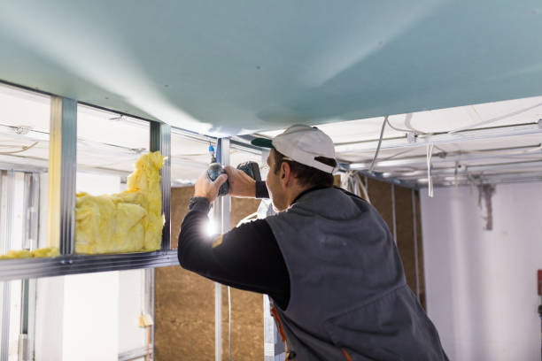 Best Insulation Materials and Products in Sunrise Manor, NV