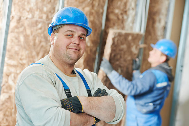 Best Insulation Installation Services in Sunrise Manor, NV